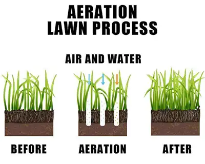Aeration Lawn Process | The Importance of Aerating Your Lawn